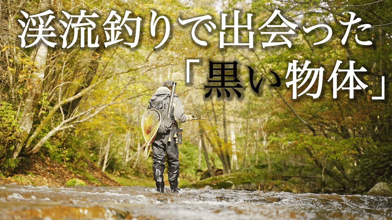 【貴重映像】黒い物体の正体とは…