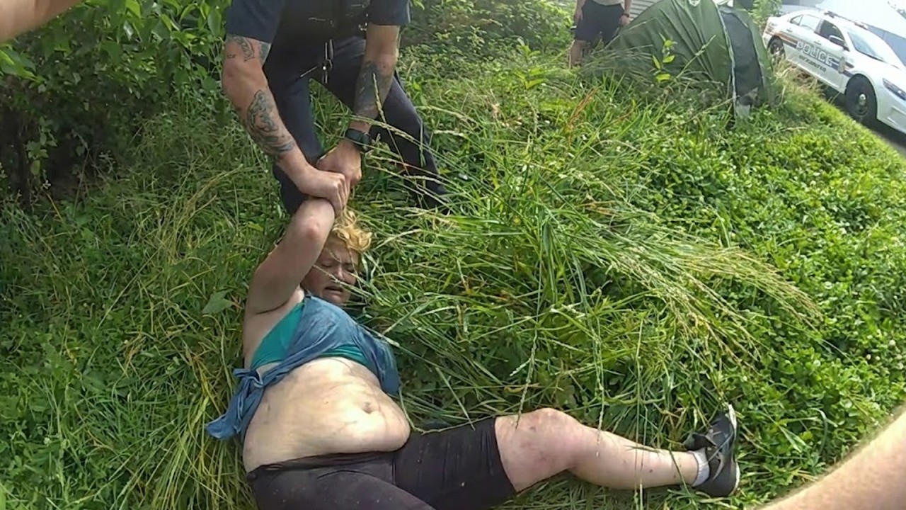 This Is What Happens When You Camp in a Strangers Backyard