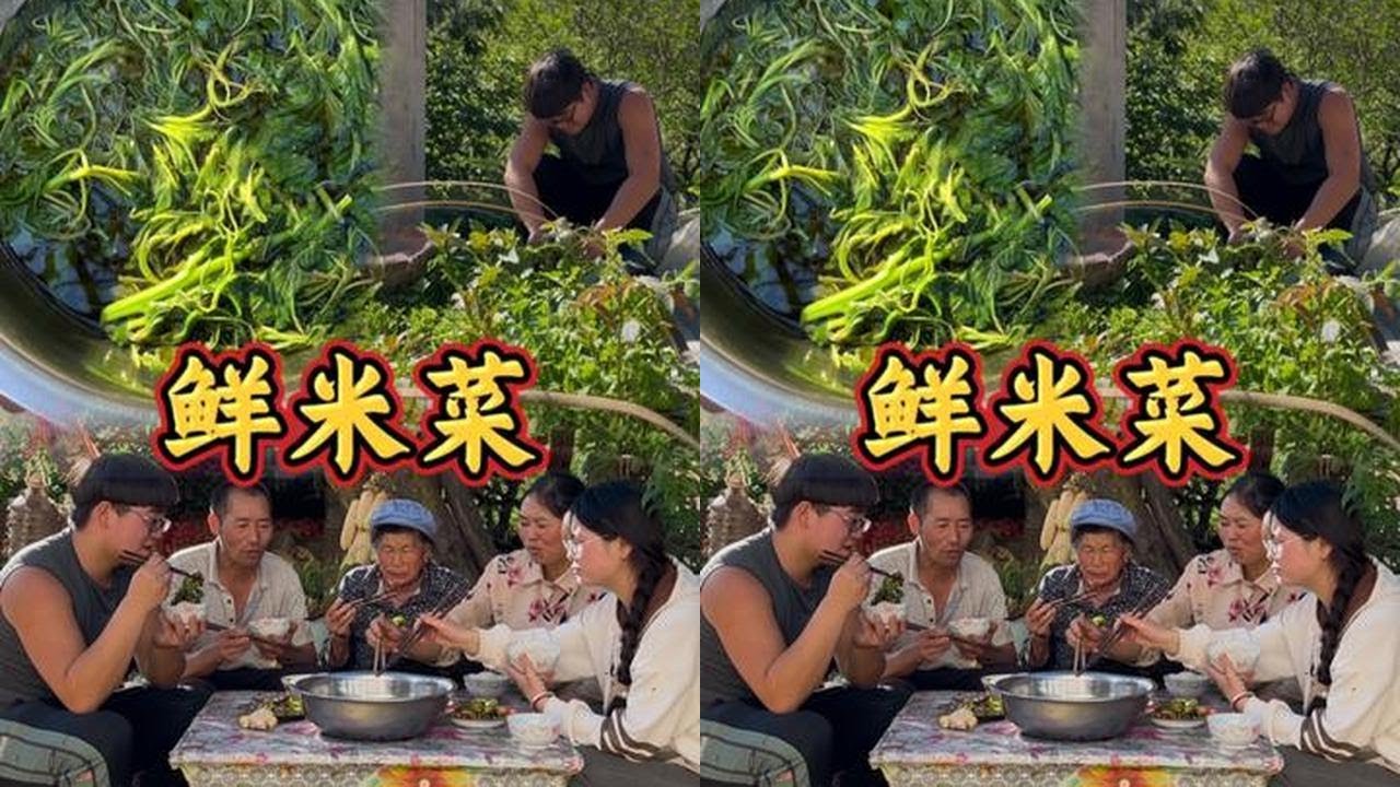 吃不了学习的苦，就吃生活的苦，记录真实农村生活。#洋芋锅 #记录我的农村生活 #乡村美食