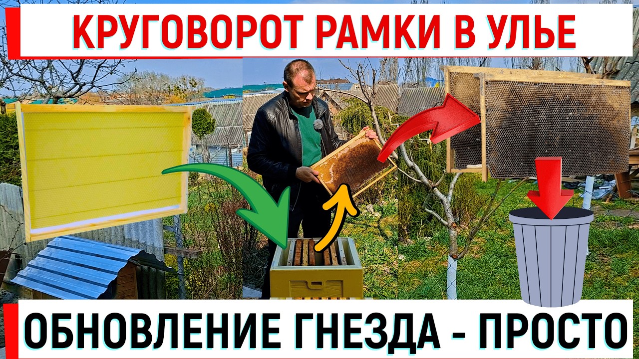 Круговорот рамок в улье. Обновление гнезда - очень просто!