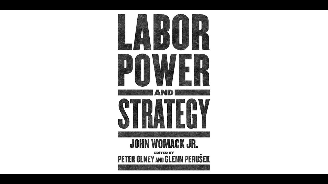 LABOR POWER AND STRATEGY BOOK DISCUSSION