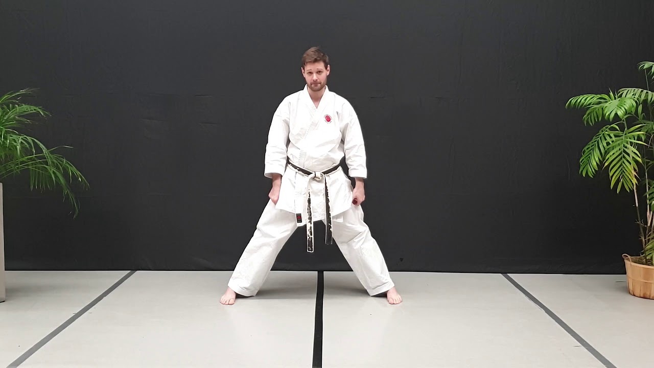 Kihon Training Fünf Grundtechniken mit Benni 🥋 Karate