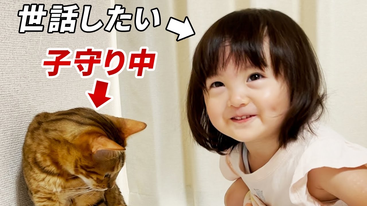 子守り猫の世話をしたい2歳娘