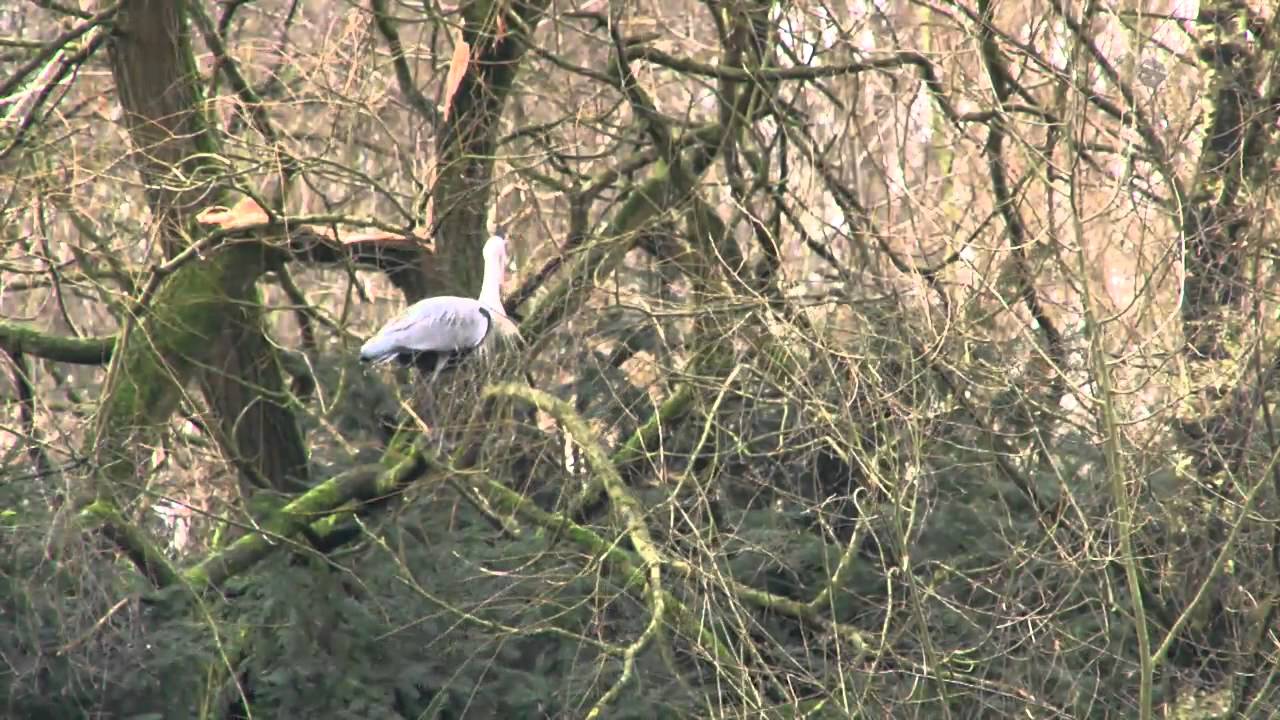 Tiere fotografieren in der Stadt - Blende 8 - Folge 41