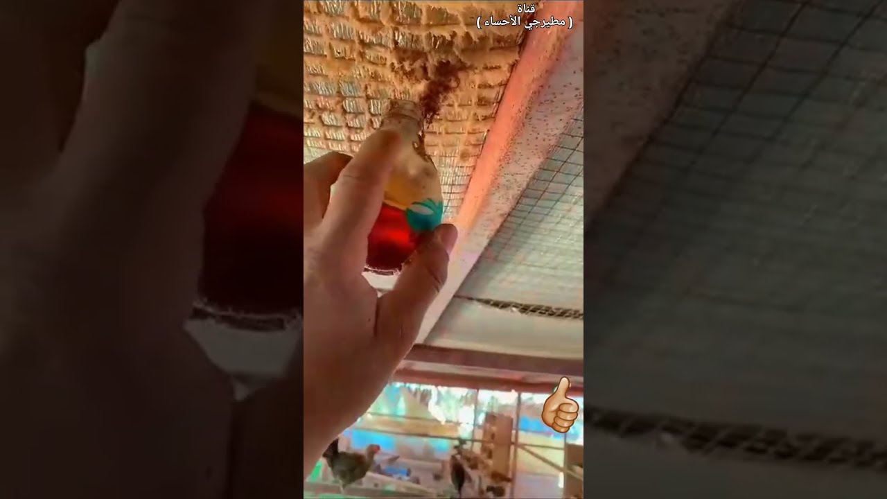 كيفية طرد الناموس من الحظيرة