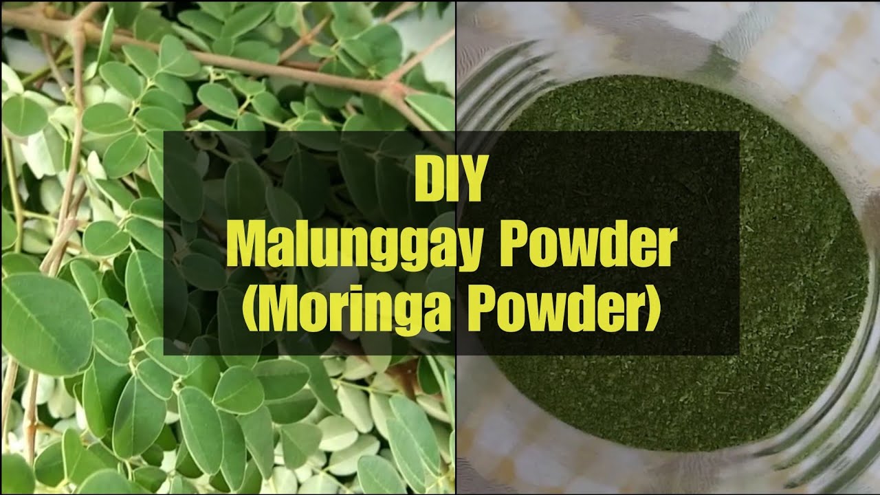 How To Make Malunggay/Moringa Powder At Home