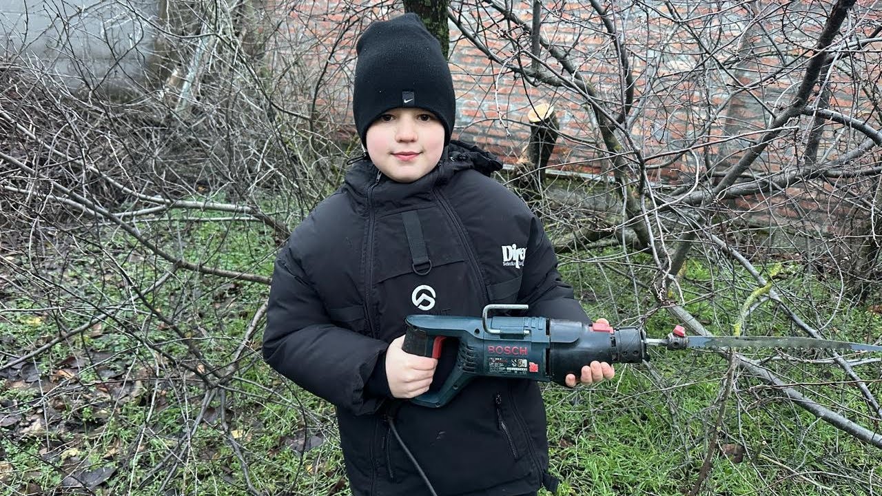 Мы с дедушкой пилим дерево