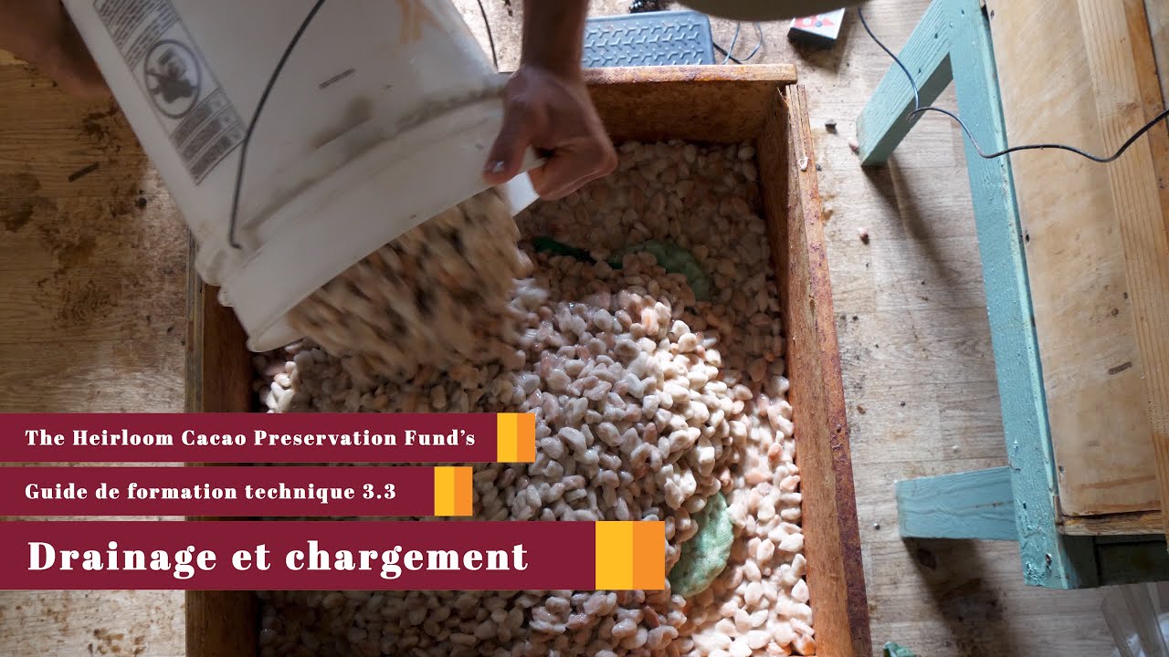 Fermentation partie 3.2 Prétraitement, drainage et chargement