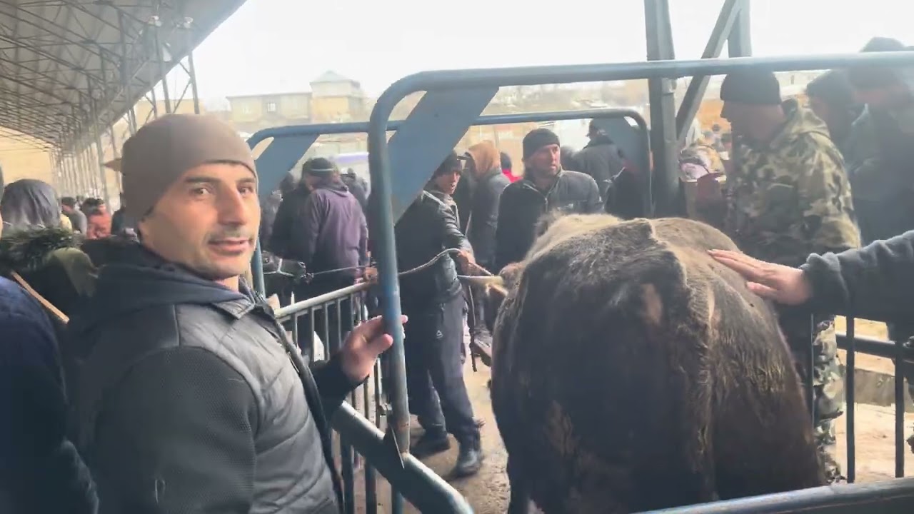 Чумабозори вахдат савдо зури бад шуд
