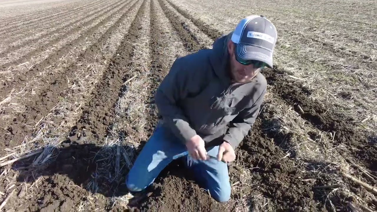 Making Strips With AGuru 8 Row Strip Till Bar