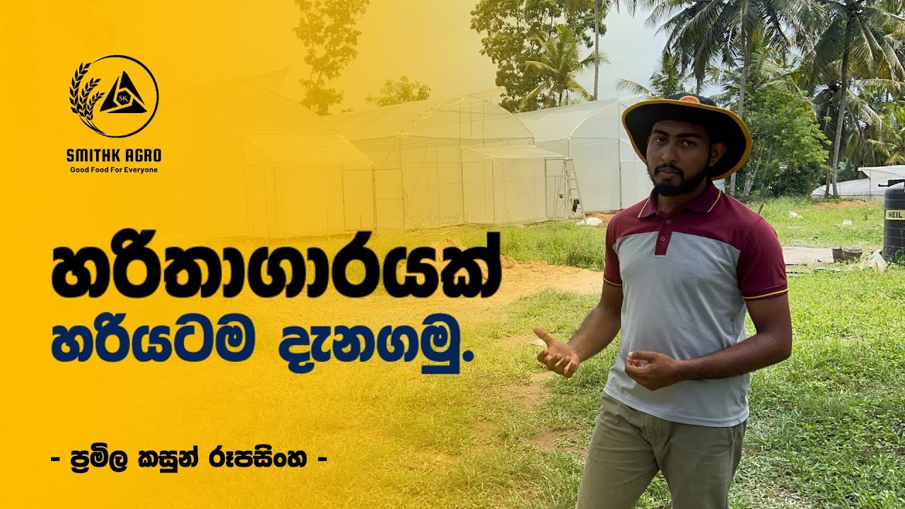 හරිතාගාරයක් හදන්න කලින් හරියටම දැනගමු | Before making your own Polytunnel Greenhouse