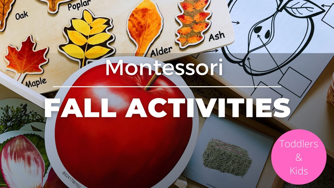 Montessori Toddler Fall Activities|Fall Activities for Toddlers and Kids #montessoriwithhart