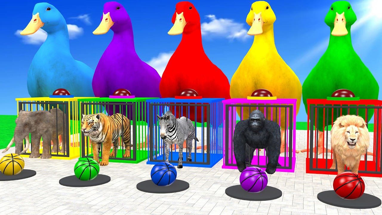 Long Slide Game With Lion Gorilla Zebra Tiger Elephant Hippo 3d Animal Game Funny 3d Animals