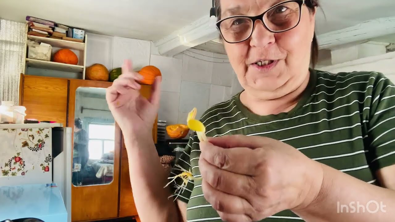 Не довела до ума задуманное