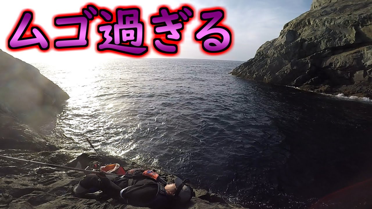 かわいそうな磯釣り師・・・【中泊尾長グレ狙い朝夕通し釣り】
