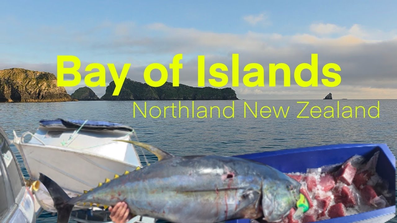 70.7kg Giant Yellowfin Tuna (155lbs) - Bay of Islands, Summer Fishing NZ [Eps3]