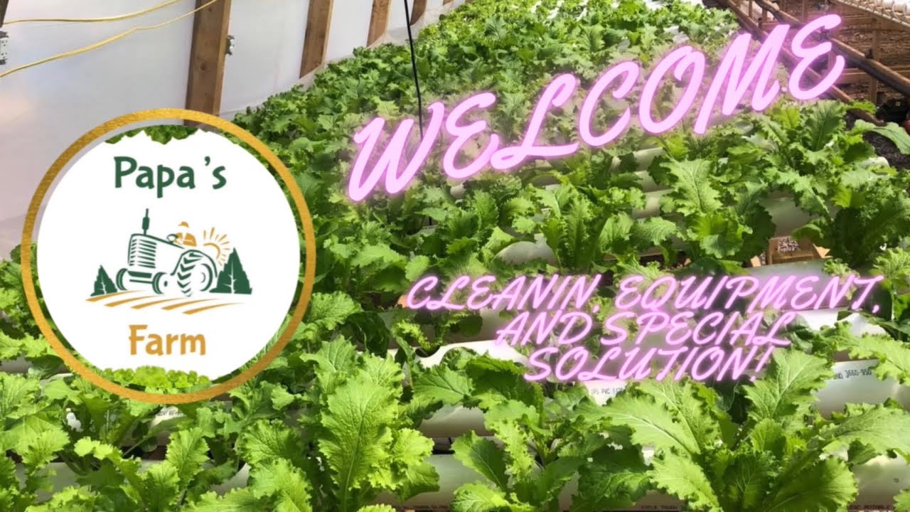 HOW TO Clean Hydroponic Troughs/Grow channels - NFT, Secret Cleaner!!