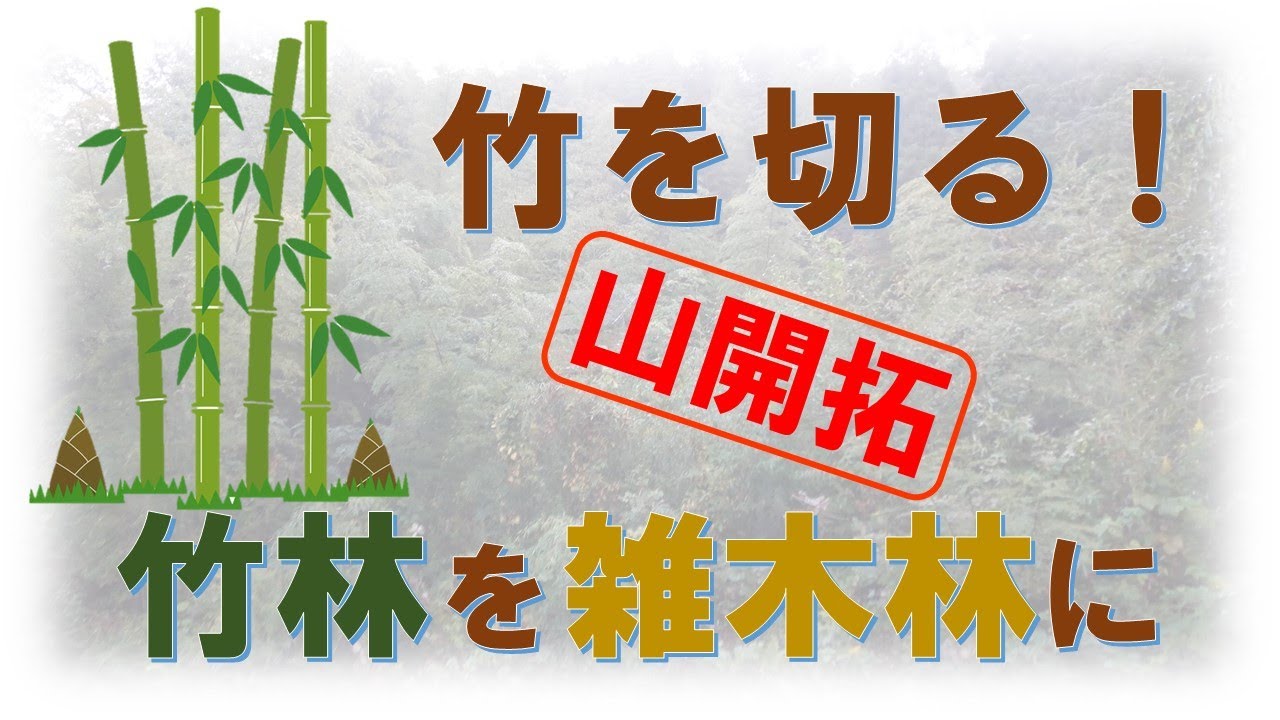 【竹林を雑木林に】①竹林との最終決戦。全ての竹を切る！