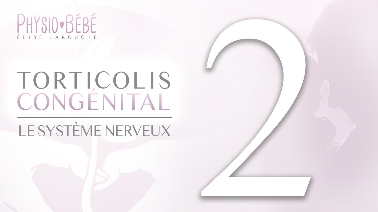 Torticolis Congénital / Capsule 2 - Le système nerveux - par Physio Bébé Élise Larouche