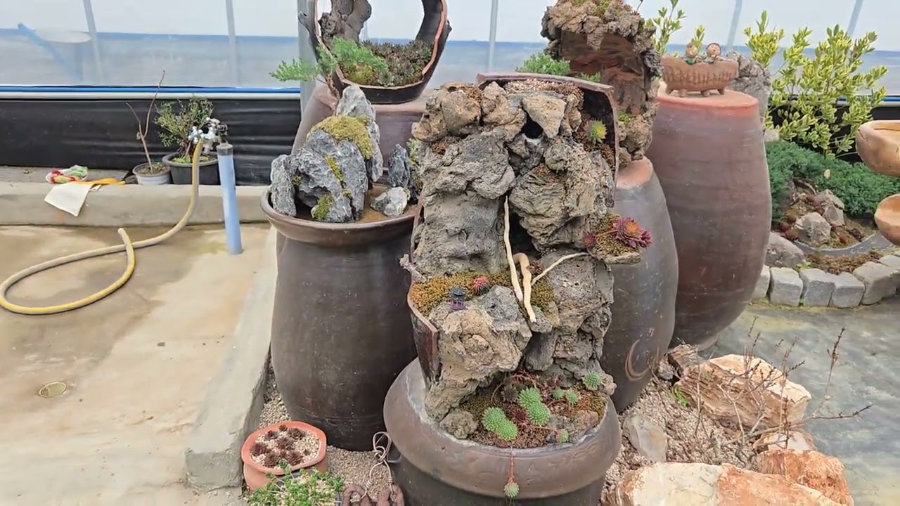 용솔바위 농장 다녀왔어요👍✨️🌹🐰❤️🌵🩵🌟