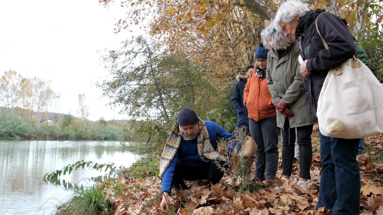 PETR Vidourle Camargue : Balade comestible à la découverte de la flore sauvage !