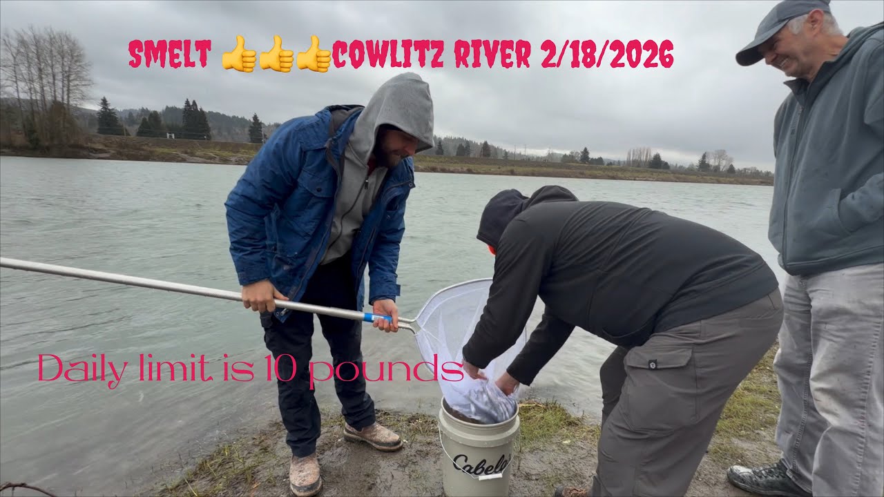 Cowlitz river smelt fishing 