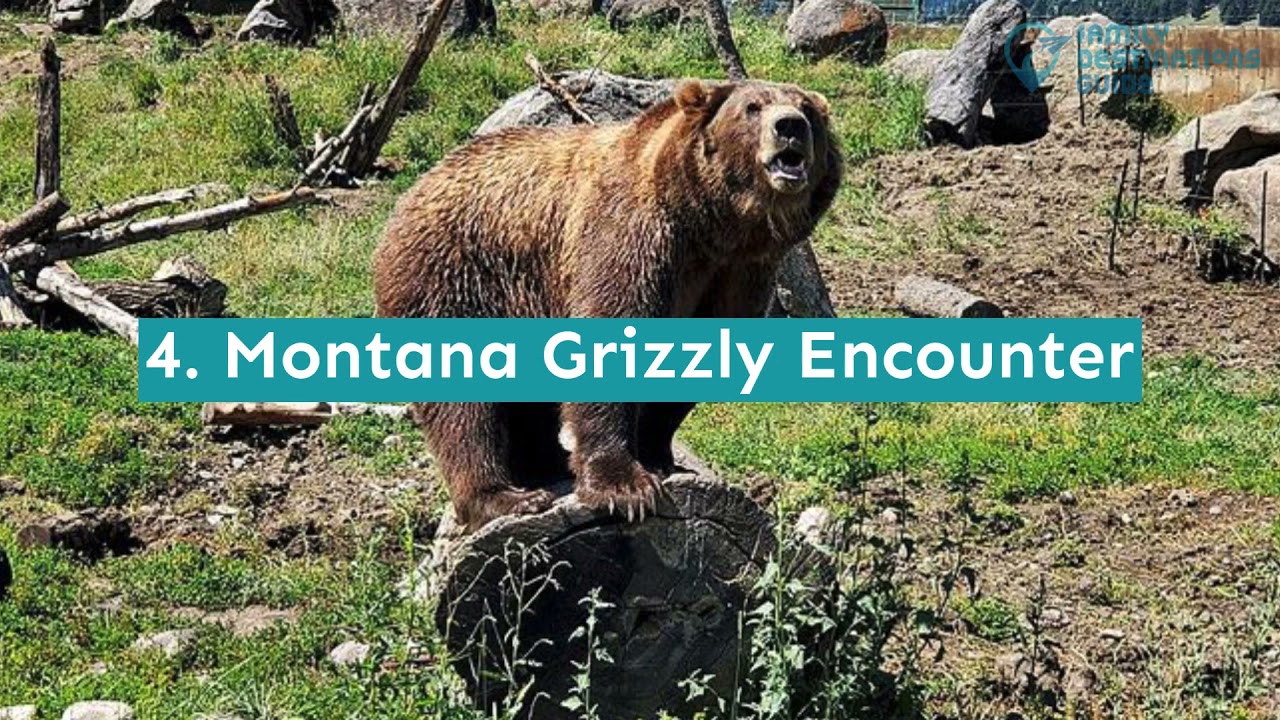 12 Fun Things to Do in Bozeman with Kids