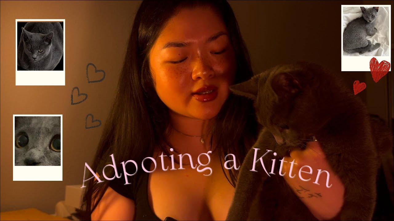 Adopting a kitten! 🐈‍⬛ | Vlog (First week with Merlyn)