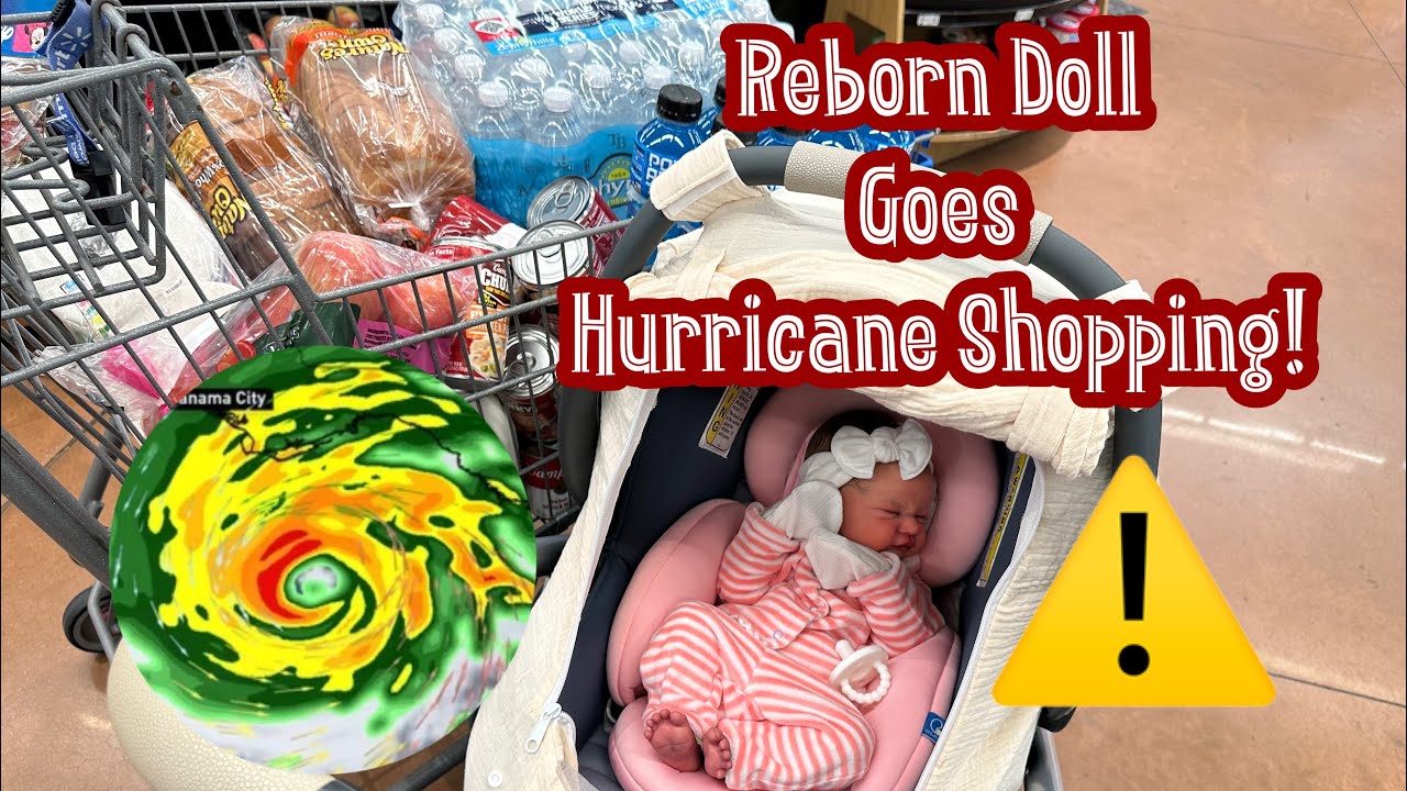 Hurricane Is Coming! Reborn Doll Walmart Outing!