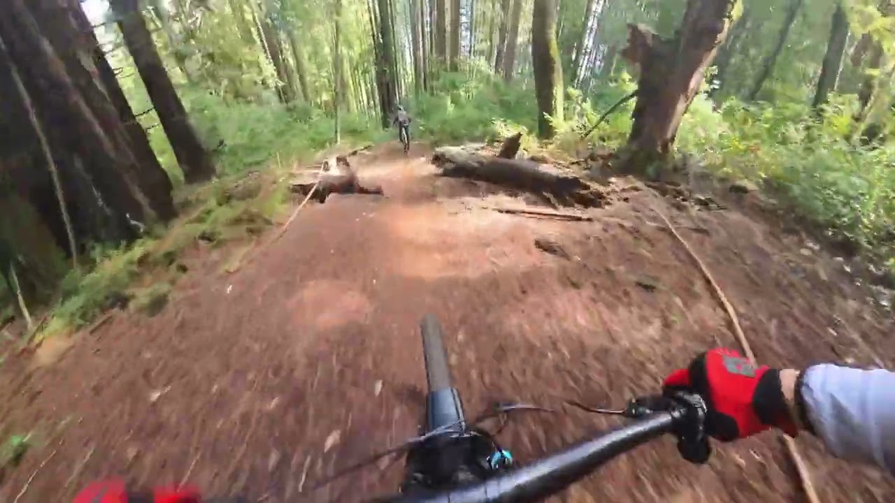 UCSC MTB Trail ~~ Watch out for down trees.
