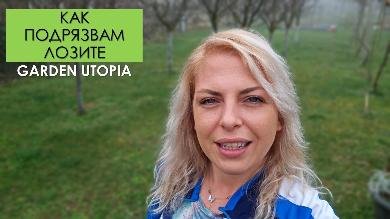 Как ПОДРЯЗВАМ ЛОЗИ на АСМИ
