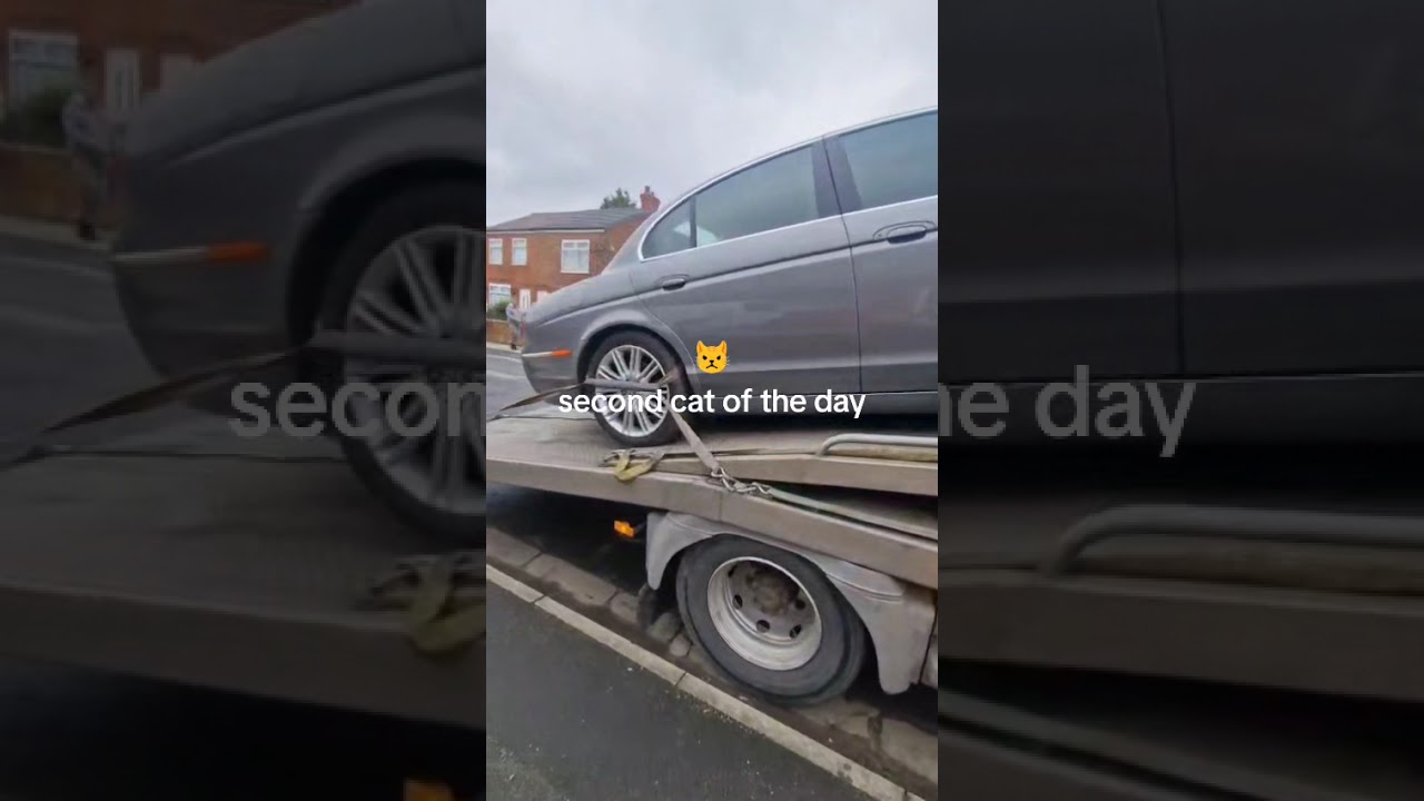 #recovery #jaguar #transport