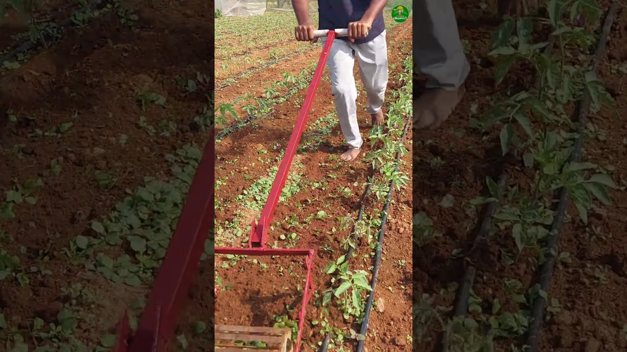 🔥Weeder Tool Machine for Farmers #agriculture #farm #ideas