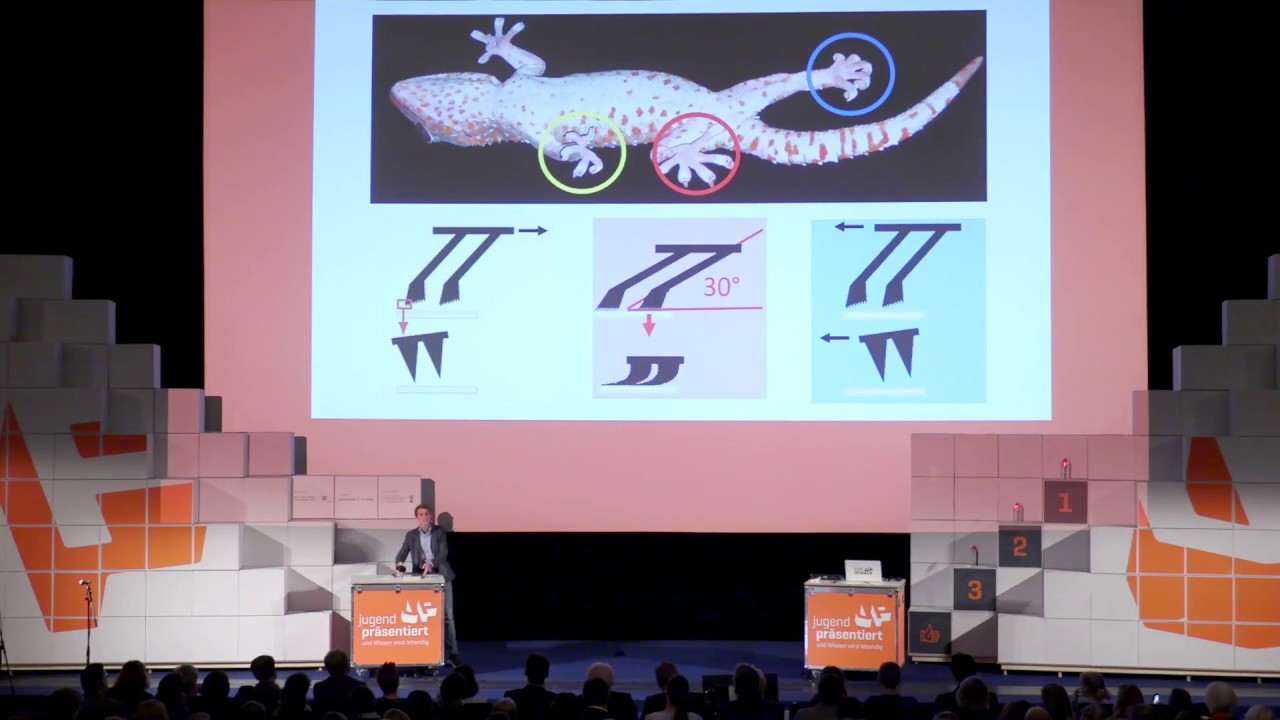 2. Platz Jugend präsentiert Finale 2017: Wie bewegt sich der Gecko an einer glatten Oberfläche?