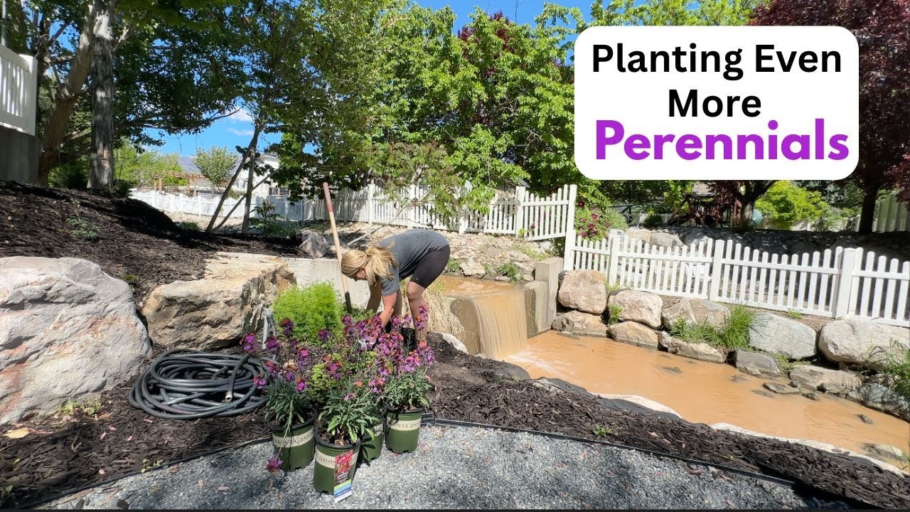 Planing Even More Perennials!