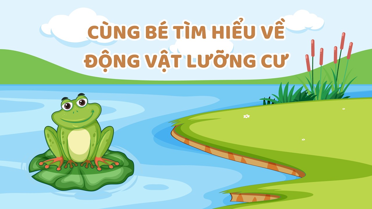 TVS - Bài học nhận thức - Cùng bé tìm hiểu về động vật lưỡng cư
