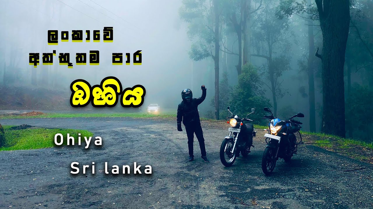 බොරලන්ද සිට ඔහිය හරහා හෝටන්තැන්නට | Ohiya sri lanka |  Ohiya to Hortain plains | Sinhala motovlog