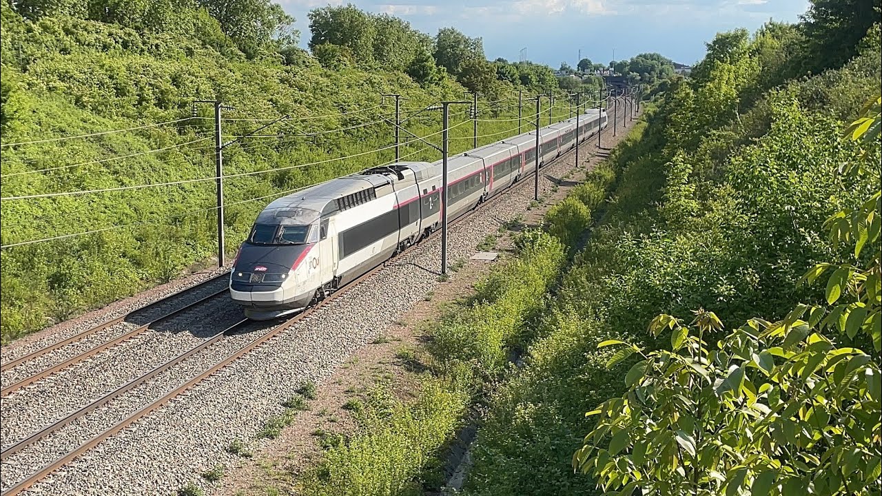 Compilation de TGV sur la LGV Nord en Mai 2025 1/2