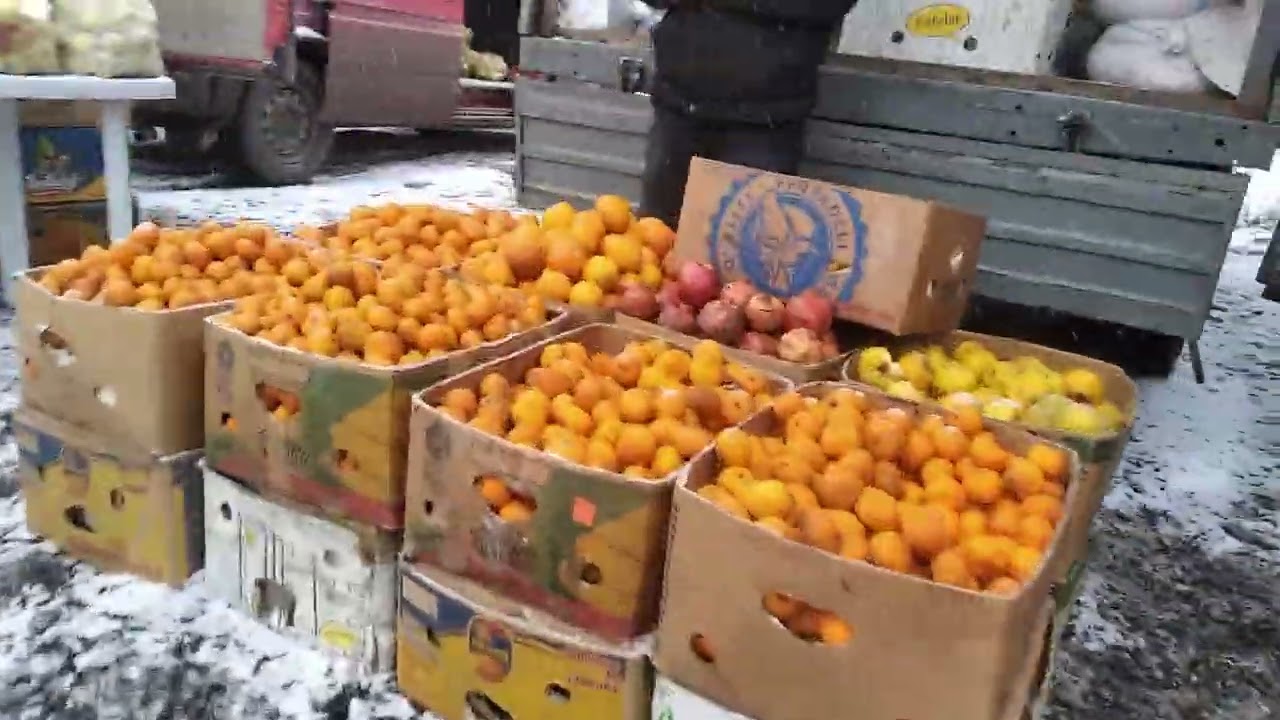 Zaqatala Aliabad da qar yağdı