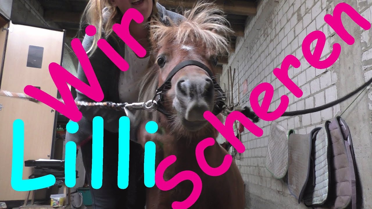 Wir scheren Lilli | Olaf hat gewonnen