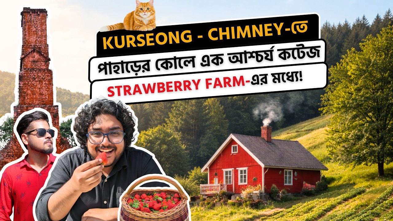 A Strawberry Farmstay in Chimney, Kurseong for Just ₹1800?! 🍓