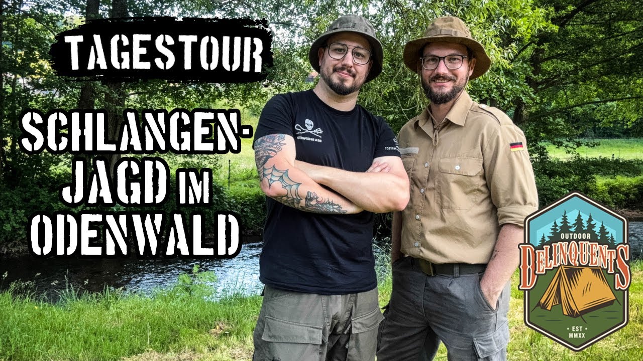 Tagestour: 🥾 Schlangenjagd im Odenwald 🐍​ Finden wir die Äskulapnatter? 🔎​ Unterwegs im Ulfenbachtal