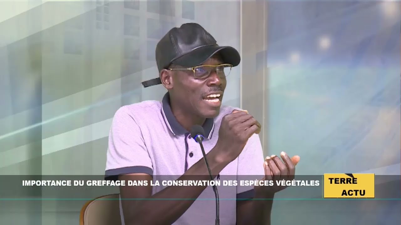 ÉMISSION TERRE ACTU : Importance du greffage dans la conservation des espèces végétales