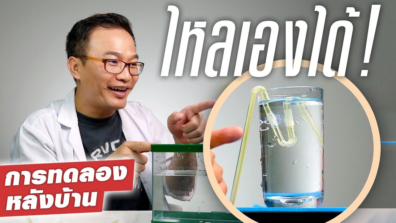 ลักน้ำยังไงโดยไม่ต้องใช้ปากดูด?? 