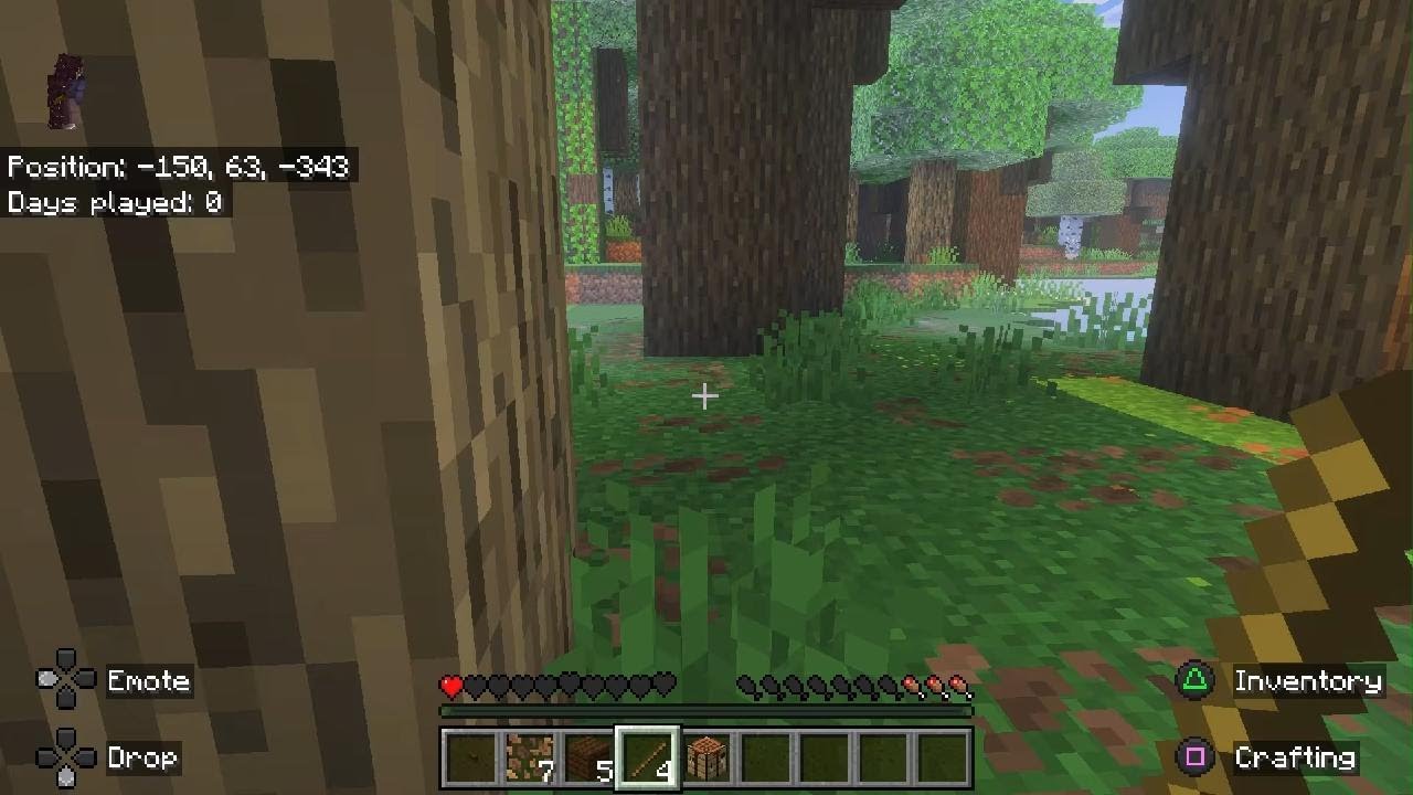 Minecraft_20260111001904