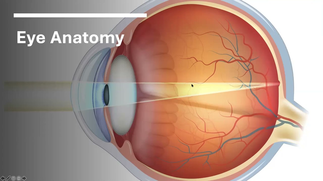 Pharmacological Treatments for Nystagmus - Dr. Ed Chin, PharmD