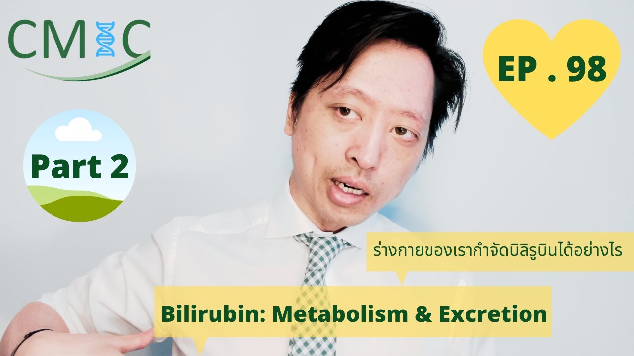 ร่างกายของเรากำจัดบิลิรูบินได้อย่างไร: Bilirubin Part 2: (Excretion) โดยนายแพทย์จักรีวัชร