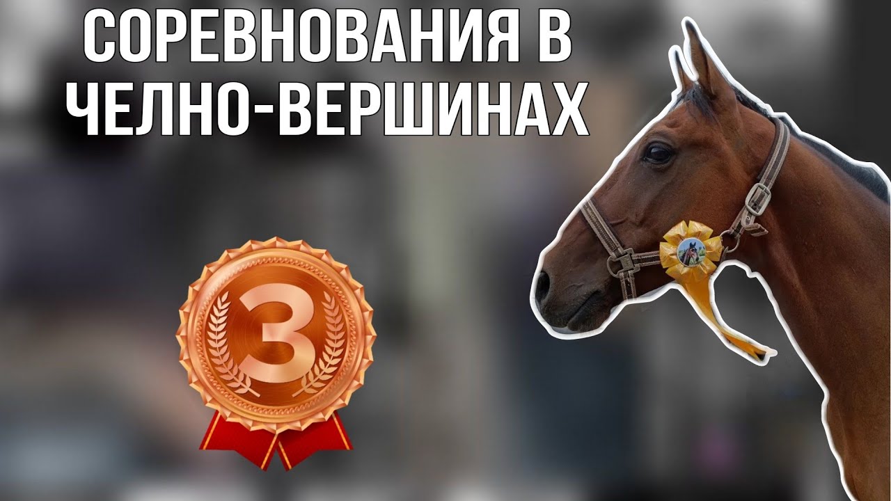 соревнования в челно-вершинах,кск кентавр