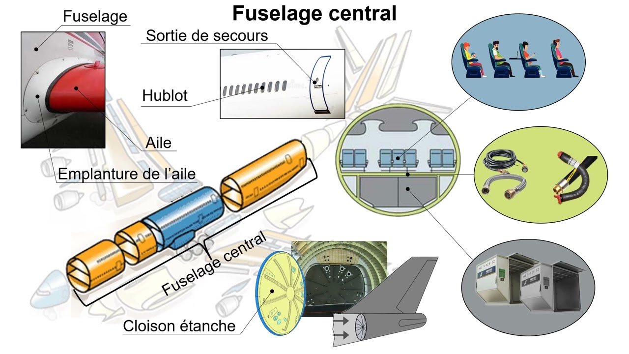 avion  fuselage