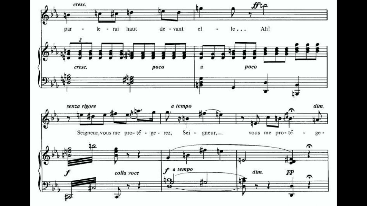 Je dis que rien ne m'epouvante (Carmen - G. Bizet) Score Animation